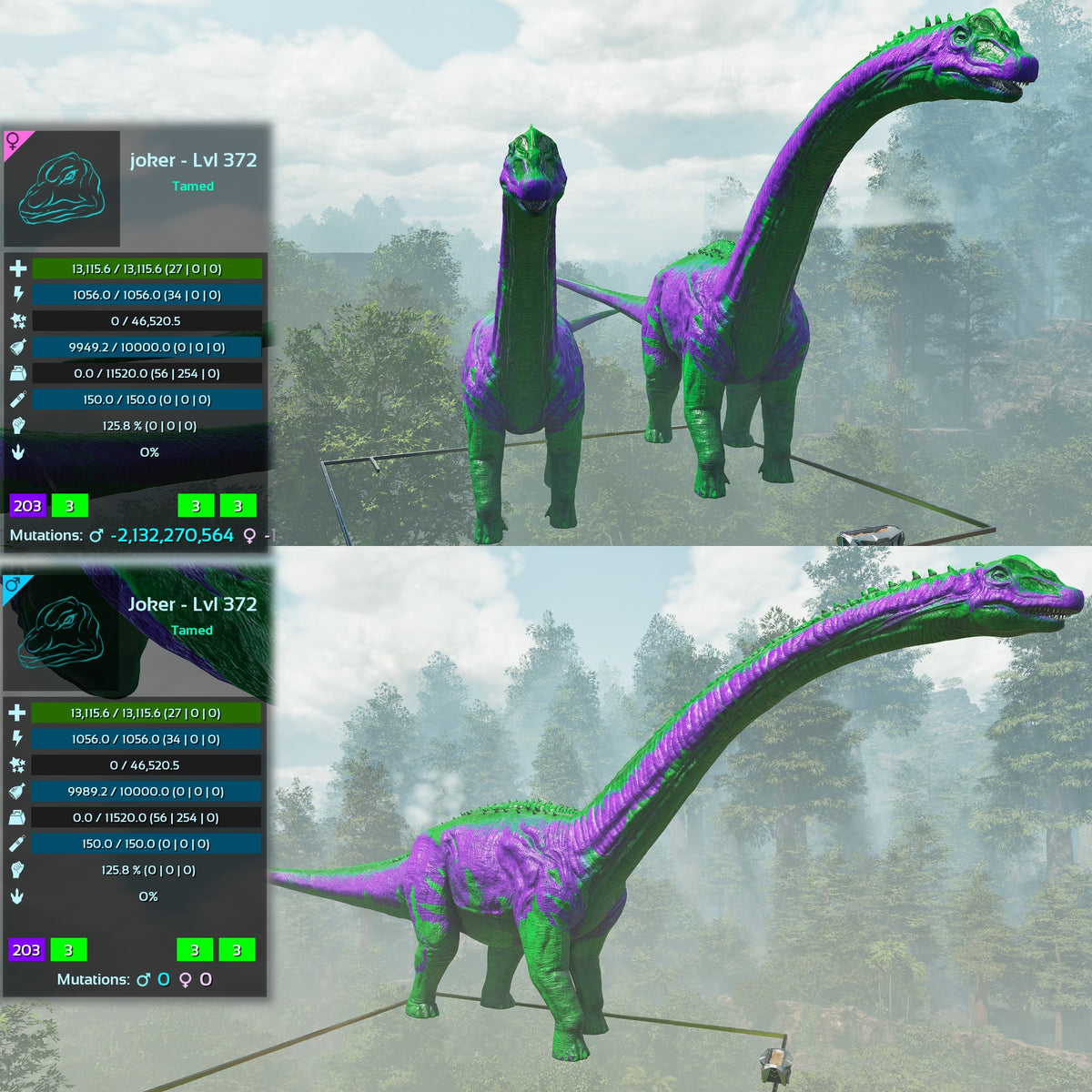 Brontosaurus Top Weight Lvl 372