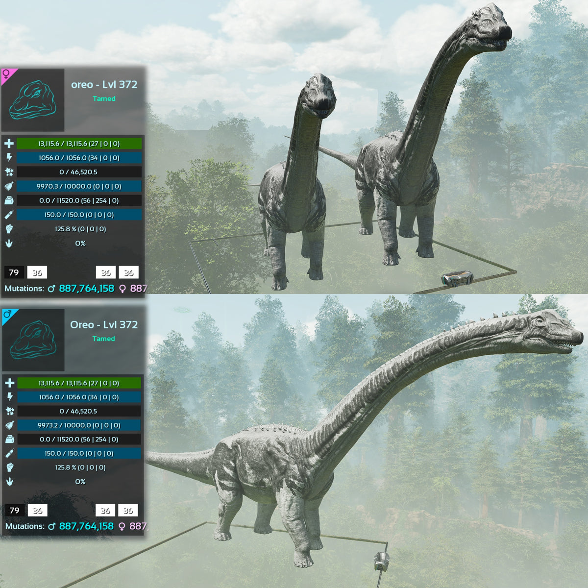 Brontosaurus Top Weight Lvl 372