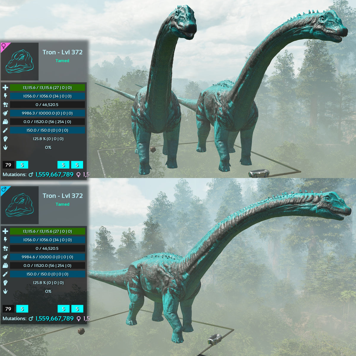 Brontosaurus Top Weight Lvl 372