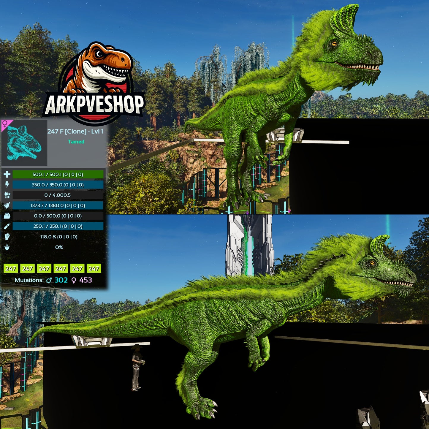 Cryolophosaurus Lvl 1 Clone