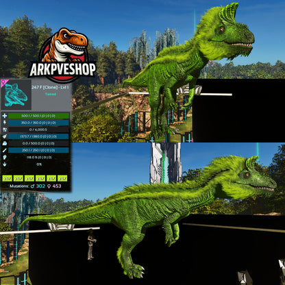 Cryolophosaurus Lvl 1 Clone