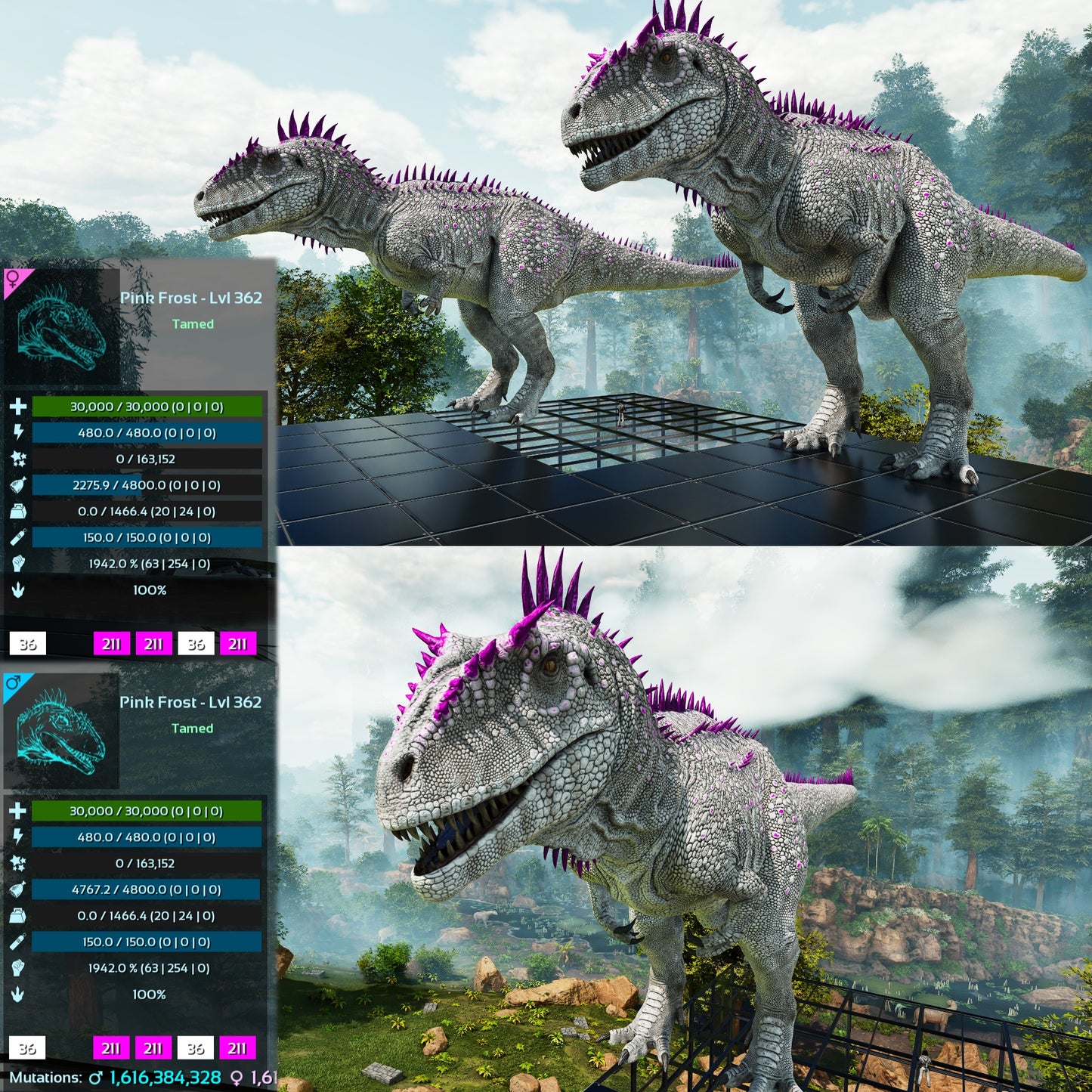 Carcharodontosaurus Carcha 1942%m Imprinted Mix Colours