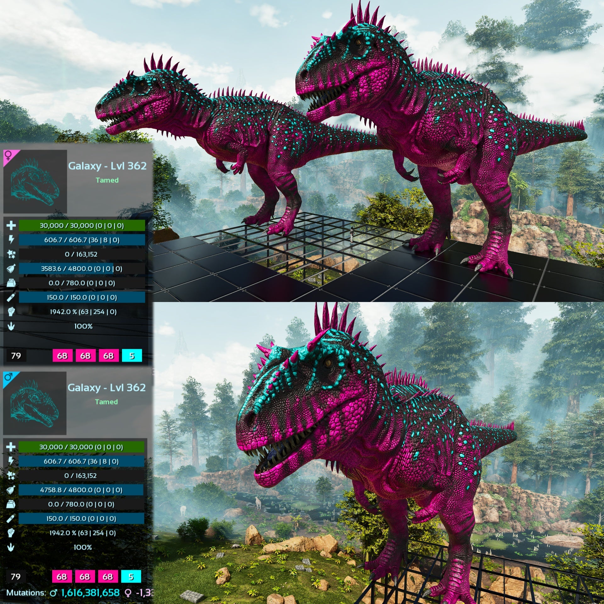 Carcharodontosaurus Carcha 1942%m Imprinted Mix Colours – My Ark Ascended