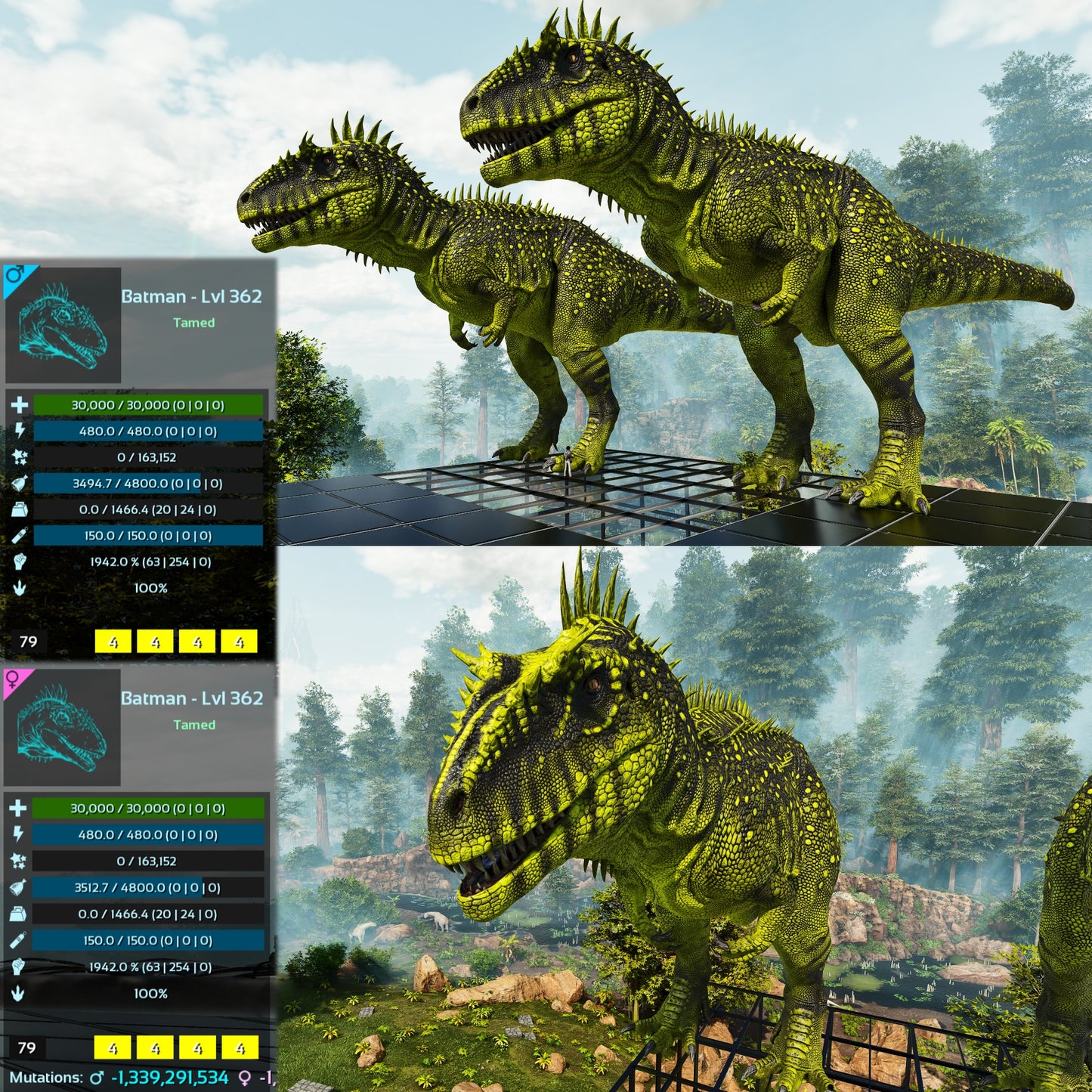 Carcharodontosaurus Carcha 1942%m Imprinted Mix Colours