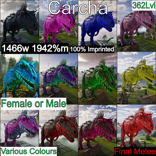 Carcharodontosaurus Carcha 1942%melee Imprinted