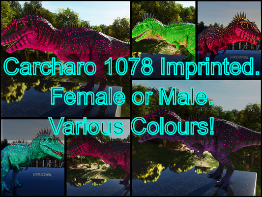 Carcharodontosaurus / Carcharo 1078dmg imprint