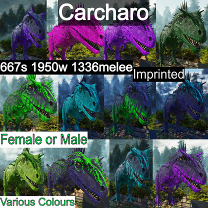 🏷️Carcharodontosaurus / Carcharo / Carcha 1336%Dmg Imprinted🏷️