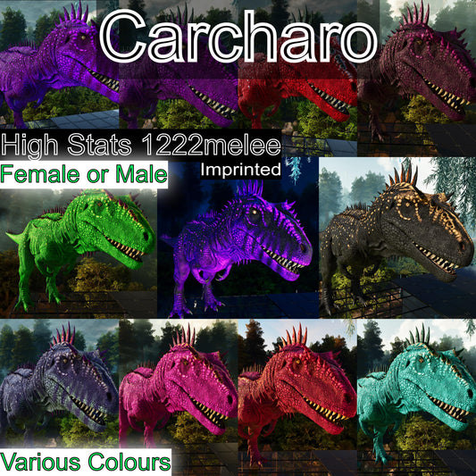 Carcharodontosaurus / Carcharo / Carcha 1222Dmg Imprinted