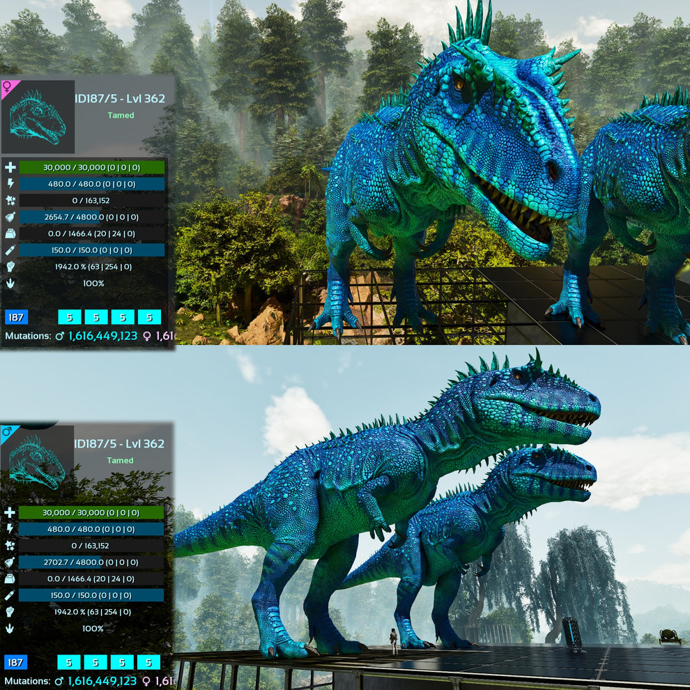 Carcharodontosaurus Carcha 1942%melee Imprinted – My Ark Ascended