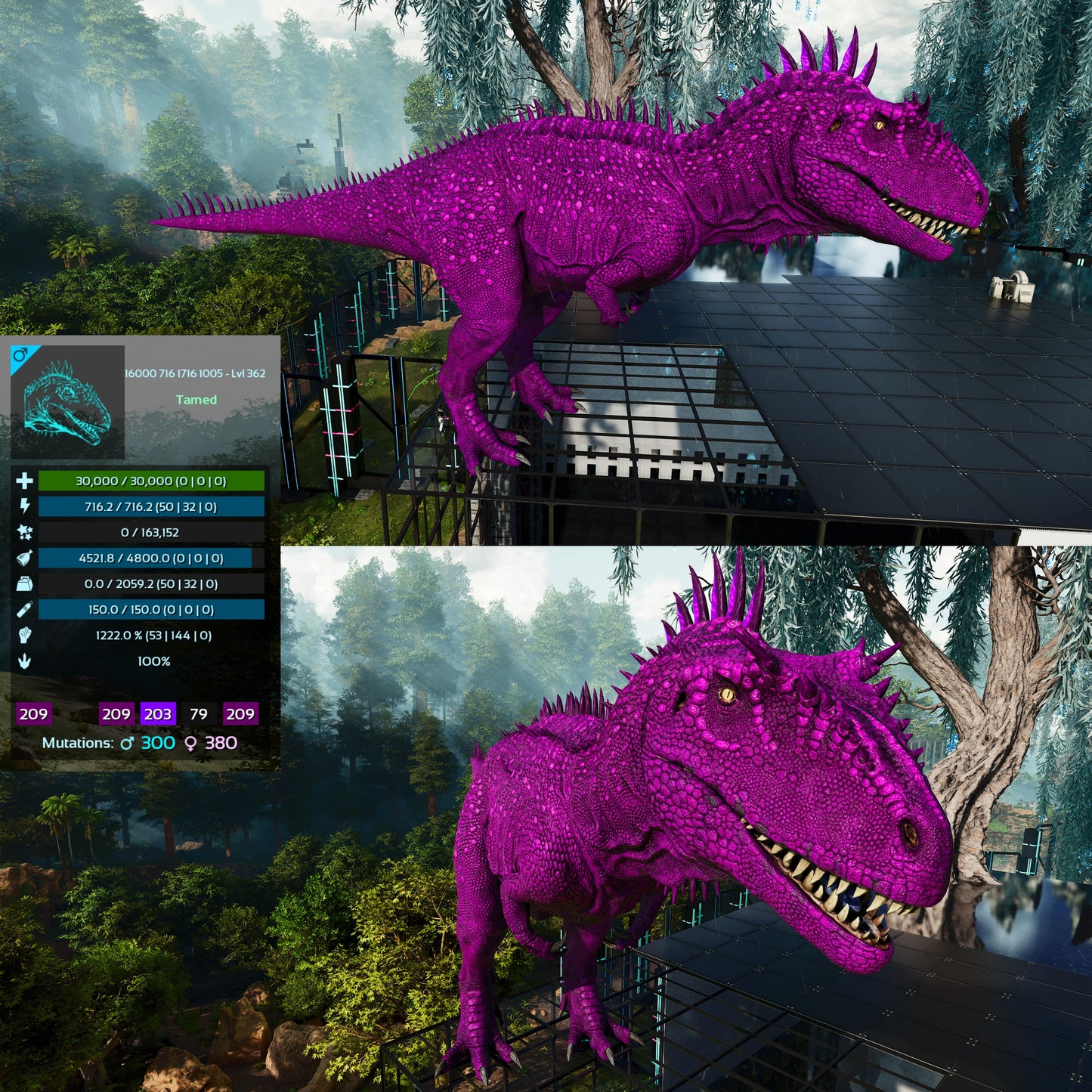Carcharodontosaurus / Carcharo / Carcha 1222Dmg Imprinted