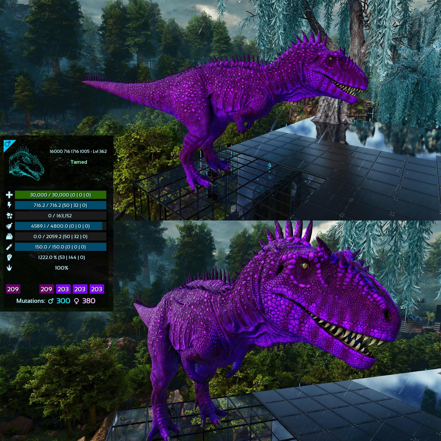 Carcharodontosaurus / Carcharo / Carcha 1222Dmg Imprinted