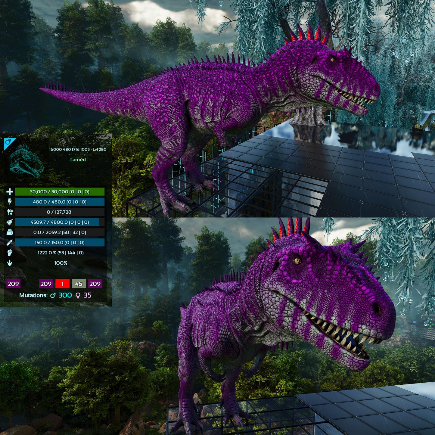 Carcharodontosaurus / Carcharo / Carcha 1222Dmg Imprinted
