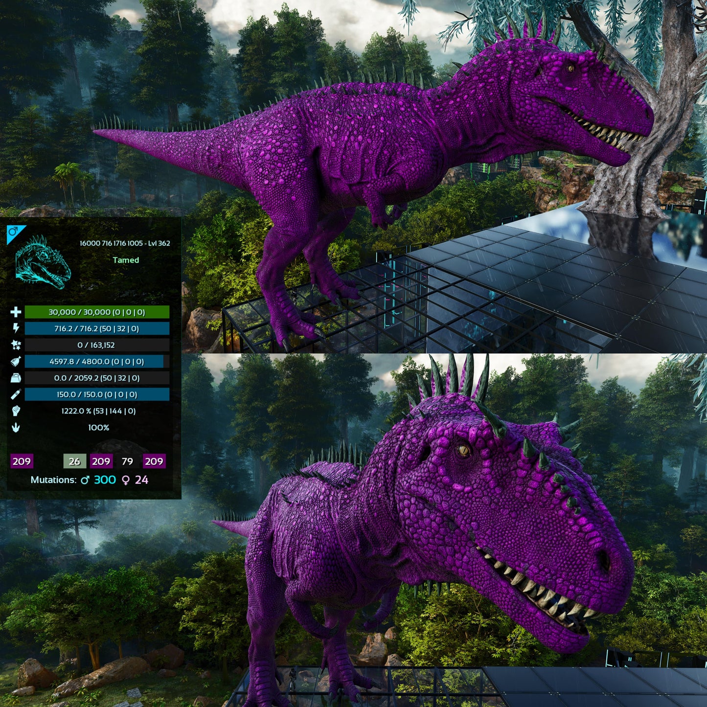 Carcharodontosaurus / Carcharo / Carcha 1222Dmg Imprinted