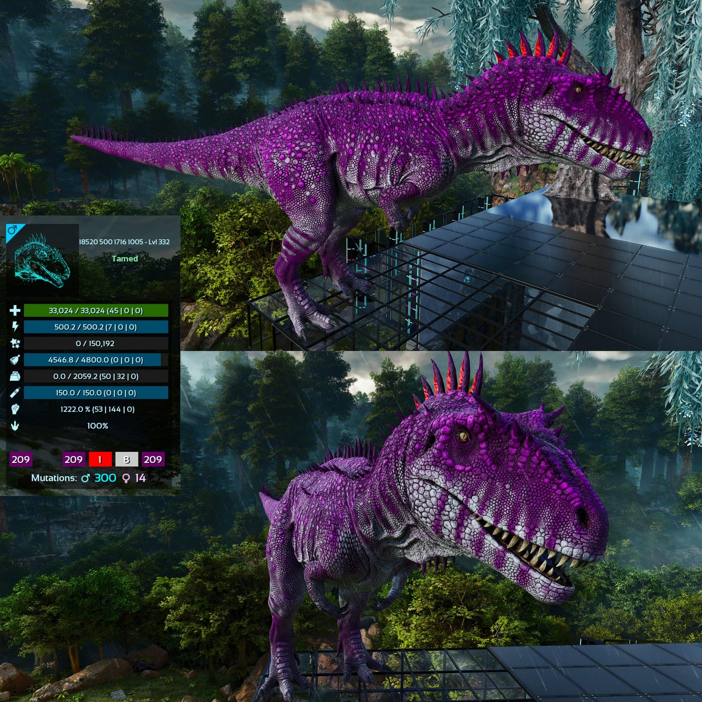 Carcharodontosaurus / Carcharo / Carcha 1222Dmg Imprinted