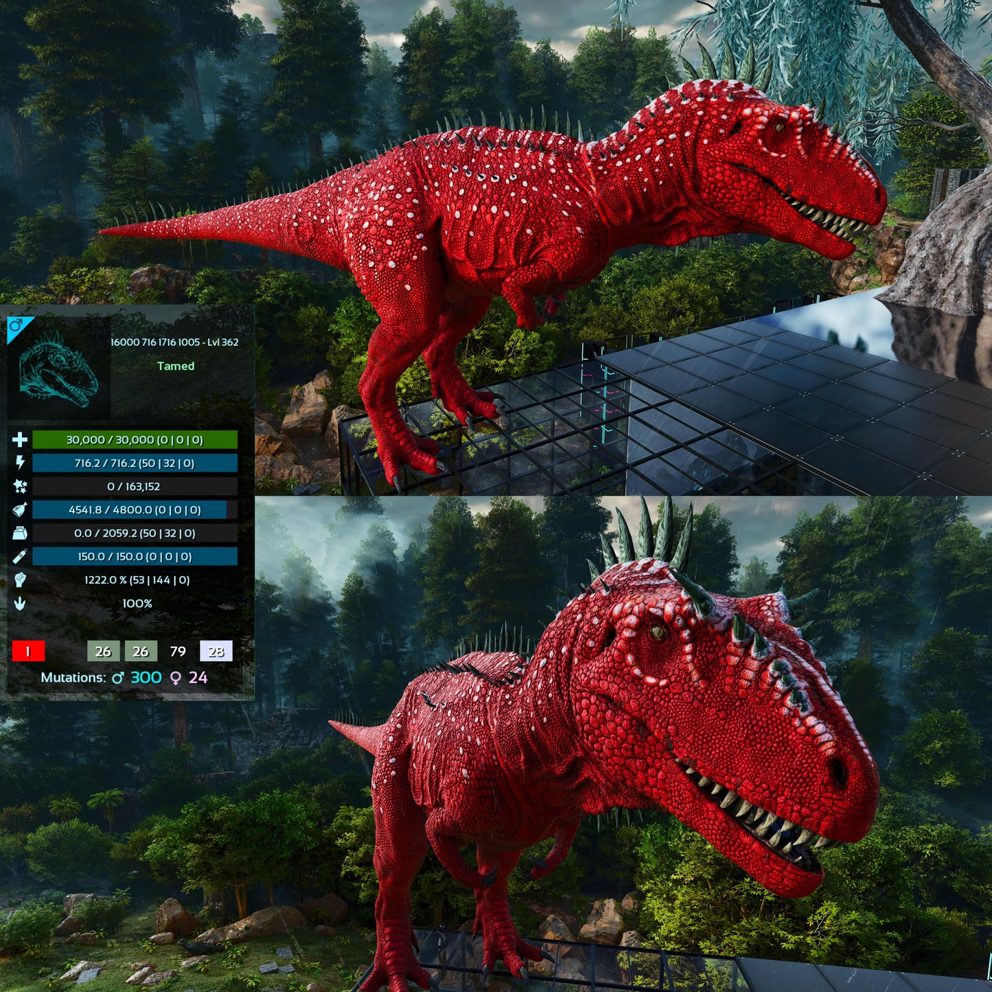 Carcharodontosaurus / Carcharo / Carcha 1222Dmg Imprinted