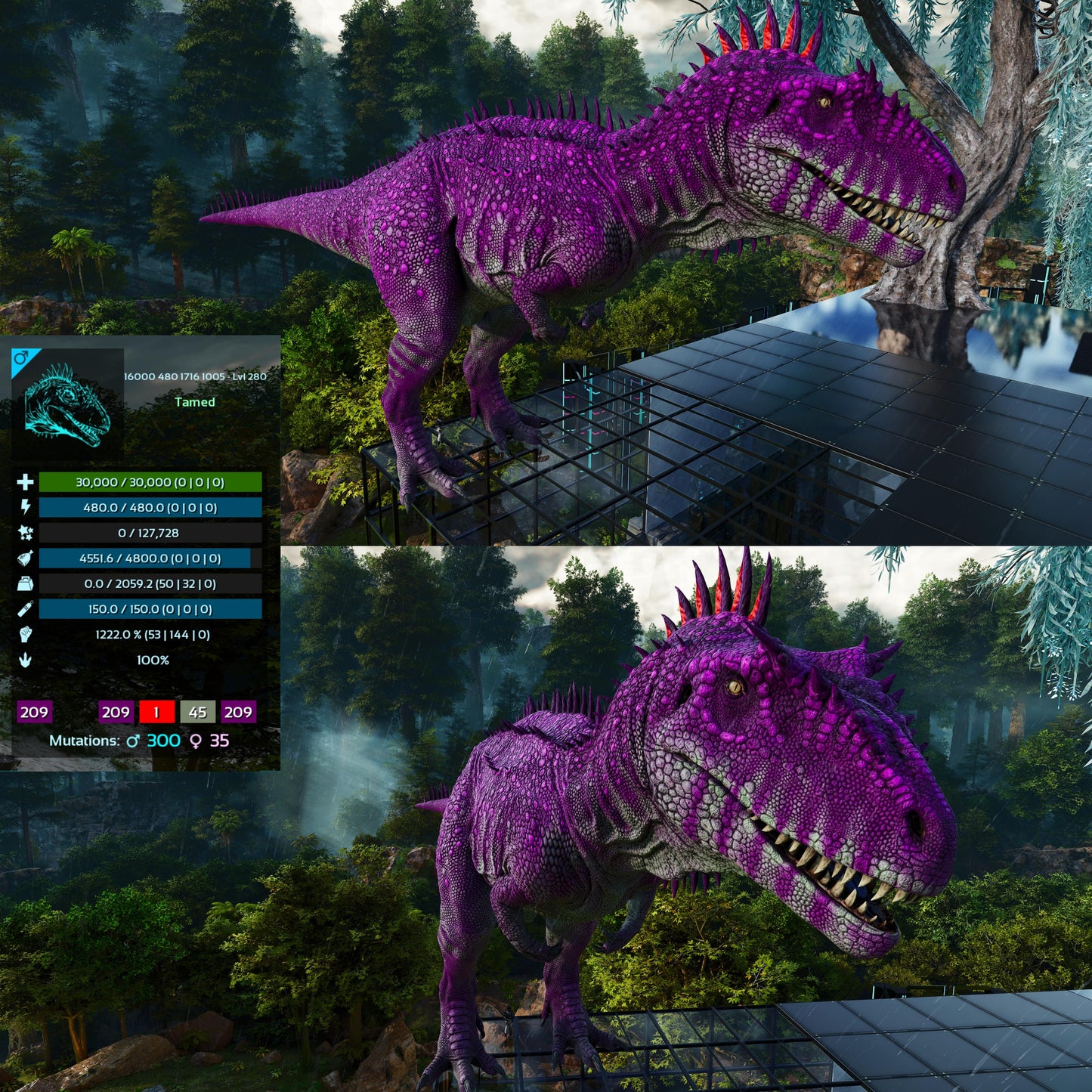 Carcharodontosaurus / Carcharo / Carcha 1222Dmg Imprinted