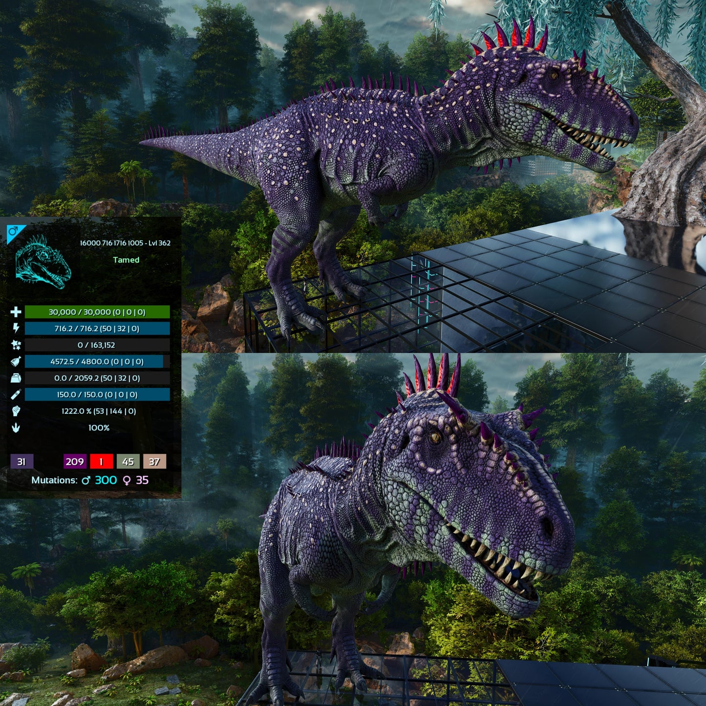 Carcharodontosaurus / Carcharo / Carcha 1222Dmg Imprinted