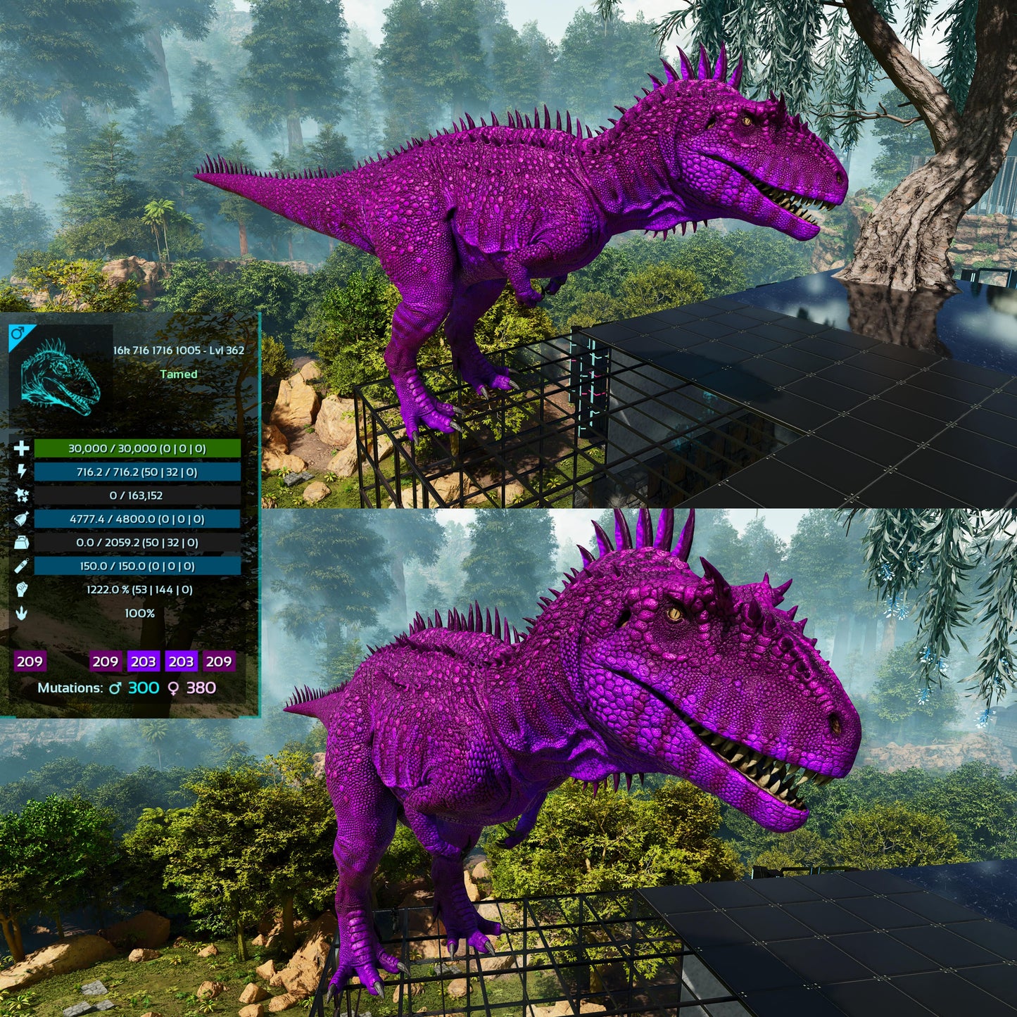 Carcharodontosaurus / Carcharo / Carcha 1222Dmg Imprinted