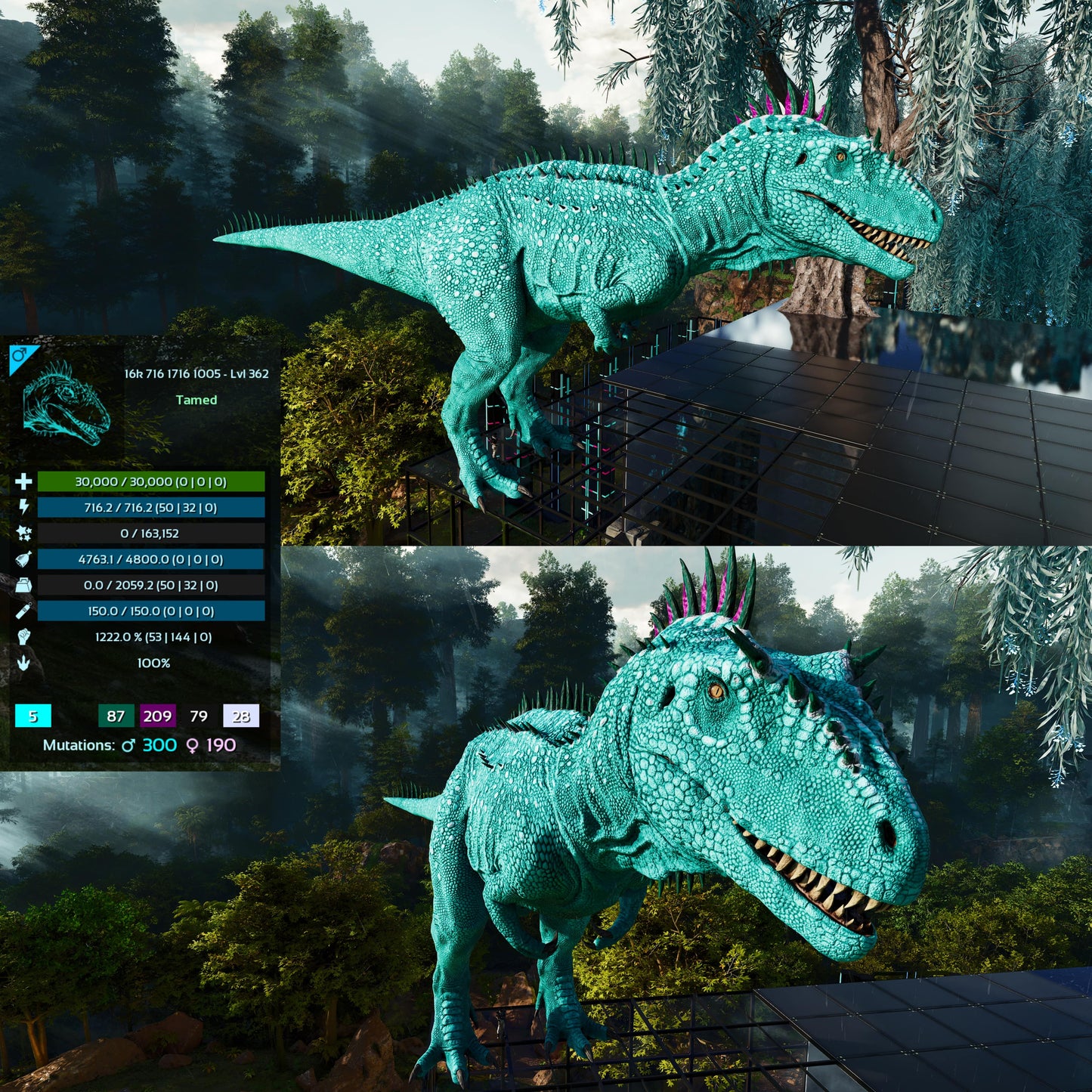Carcharodontosaurus / Carcharo / Carcha 1222Dmg Imprinted