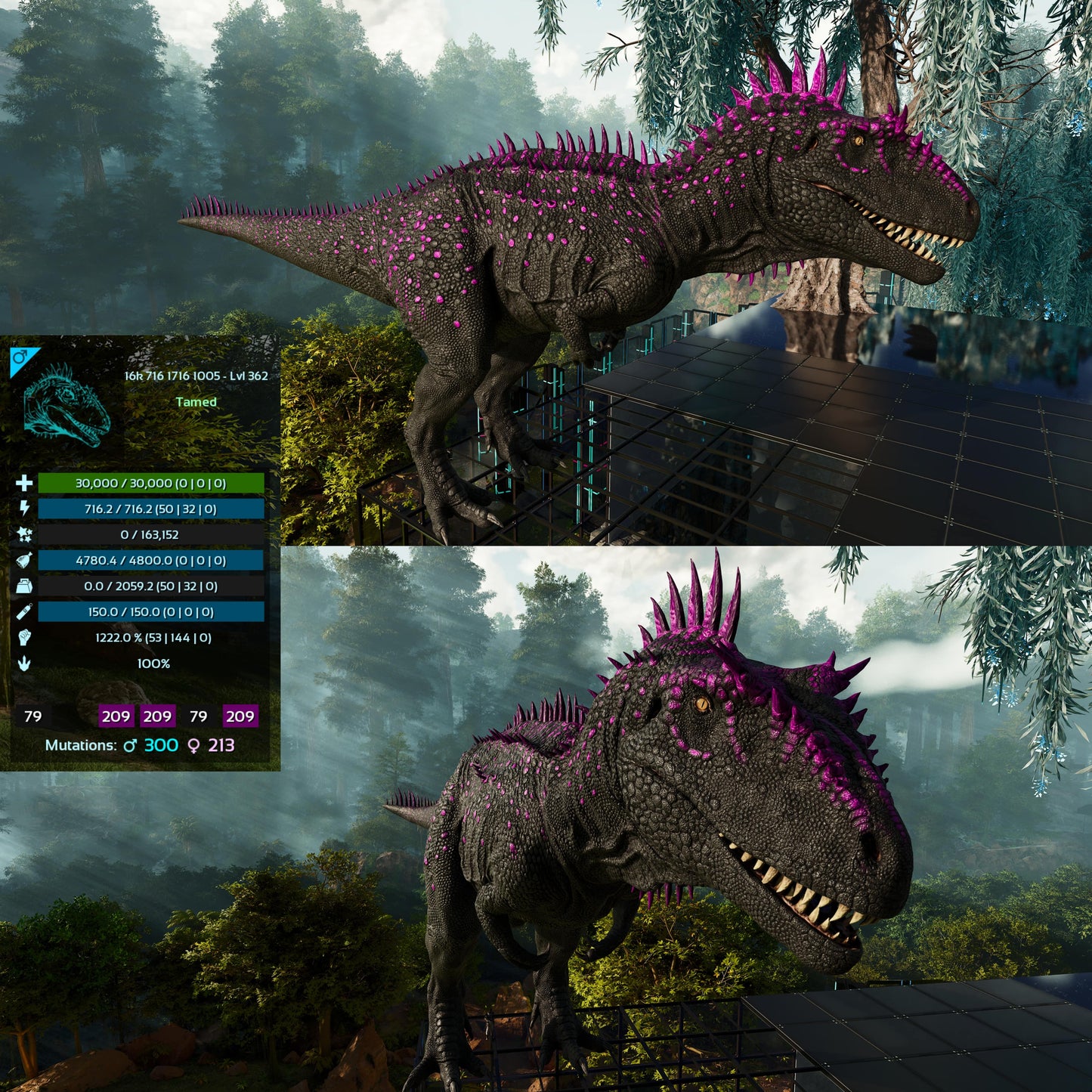 Carcharodontosaurus / Carcharo / Carcha 1222Dmg Imprinted