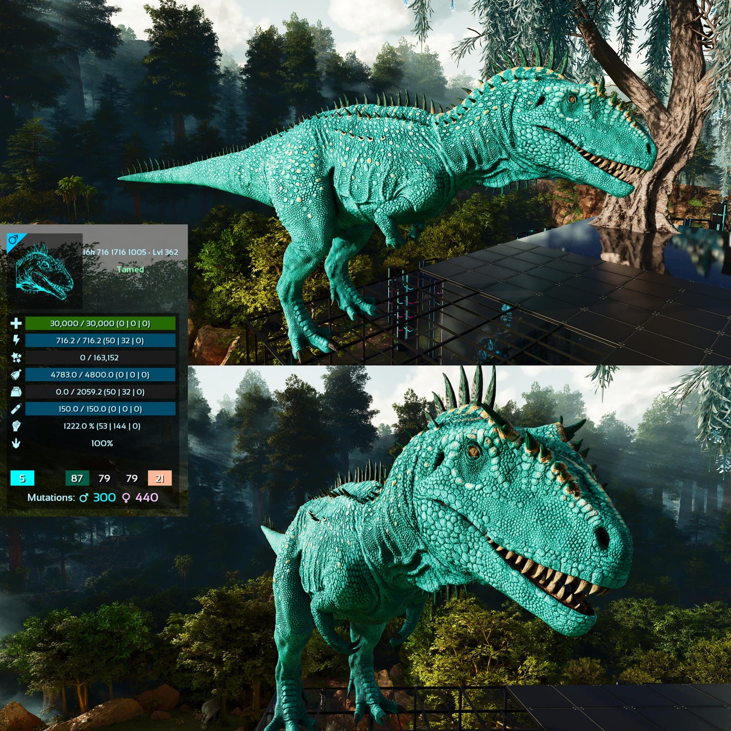 Carcharodontosaurus / Carcharo / Carcha 1222Dmg Imprinted