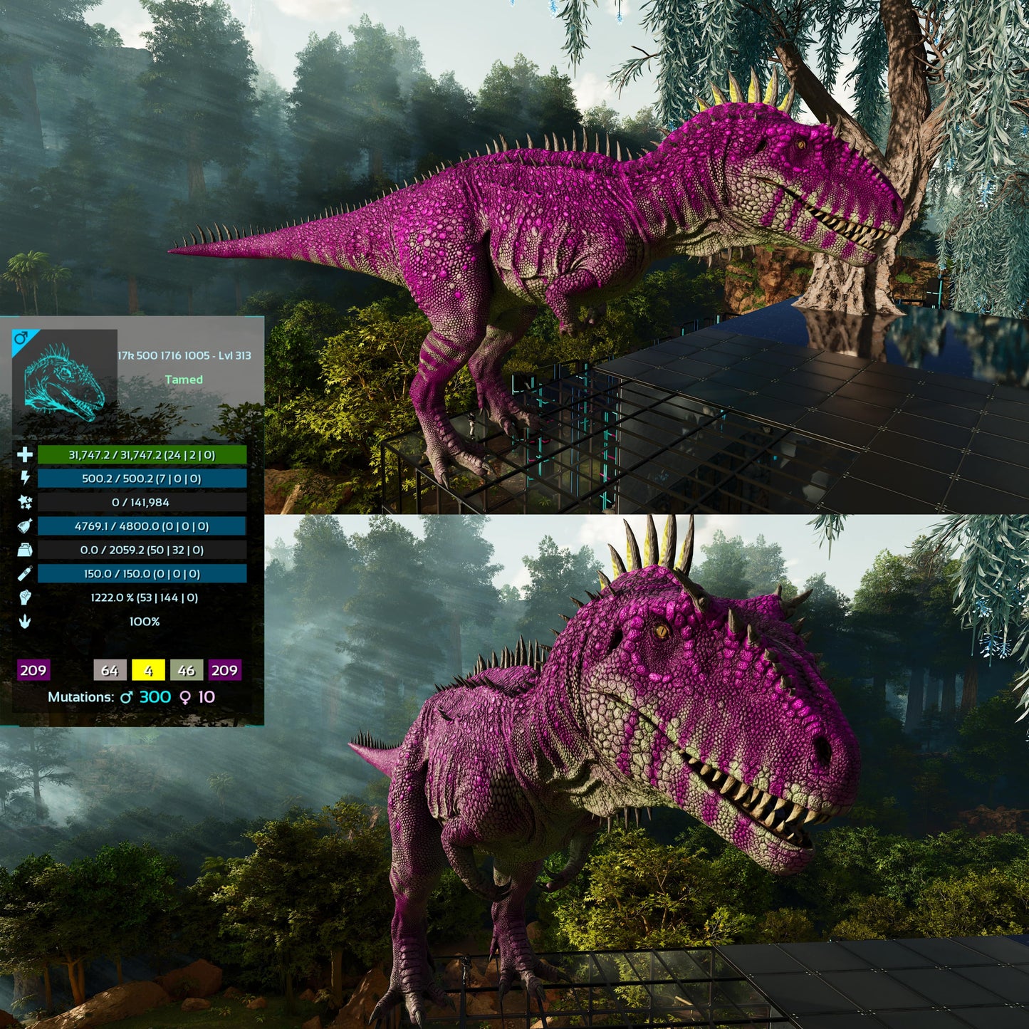 Carcharodontosaurus / Carcharo / Carcha 1222Dmg Imprinted