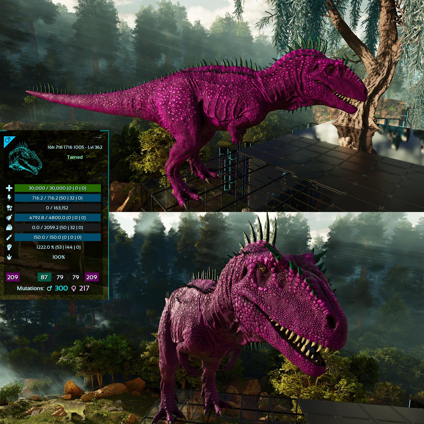 Carcharodontosaurus / Carcharo / Carcha 1222Dmg Imprinted