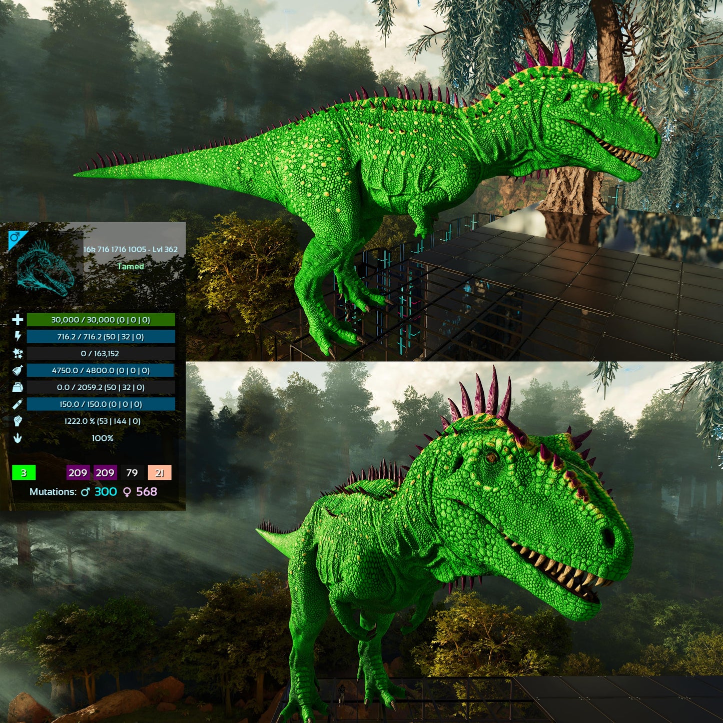 Carcharodontosaurus / Carcharo / Carcha 1222Dmg Imprinted