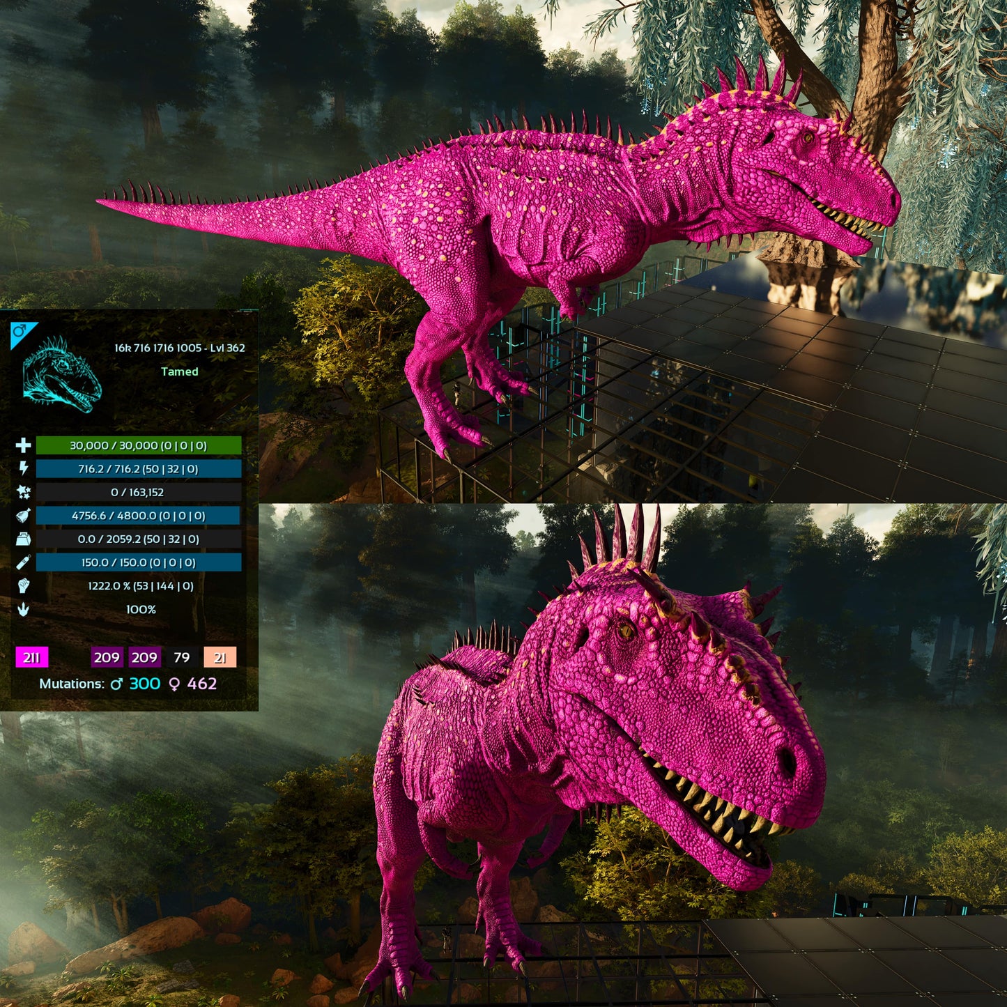 Carcharodontosaurus / Carcharo / Carcha 1222Dmg Imprinted