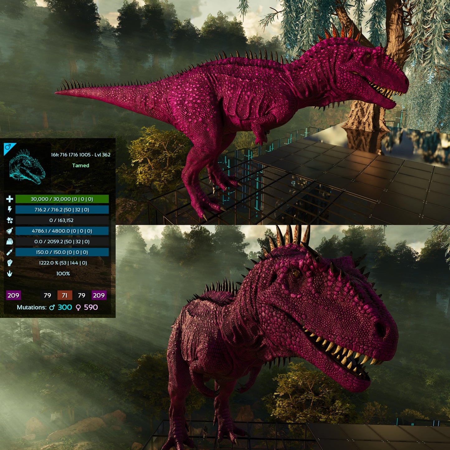 Carcharodontosaurus / Carcharo / Carcha 1222Dmg Imprinted