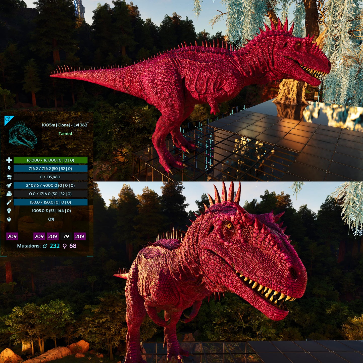 Carcharodontosaurus / Carcharo / Carcha 1222Dmg Imprinted