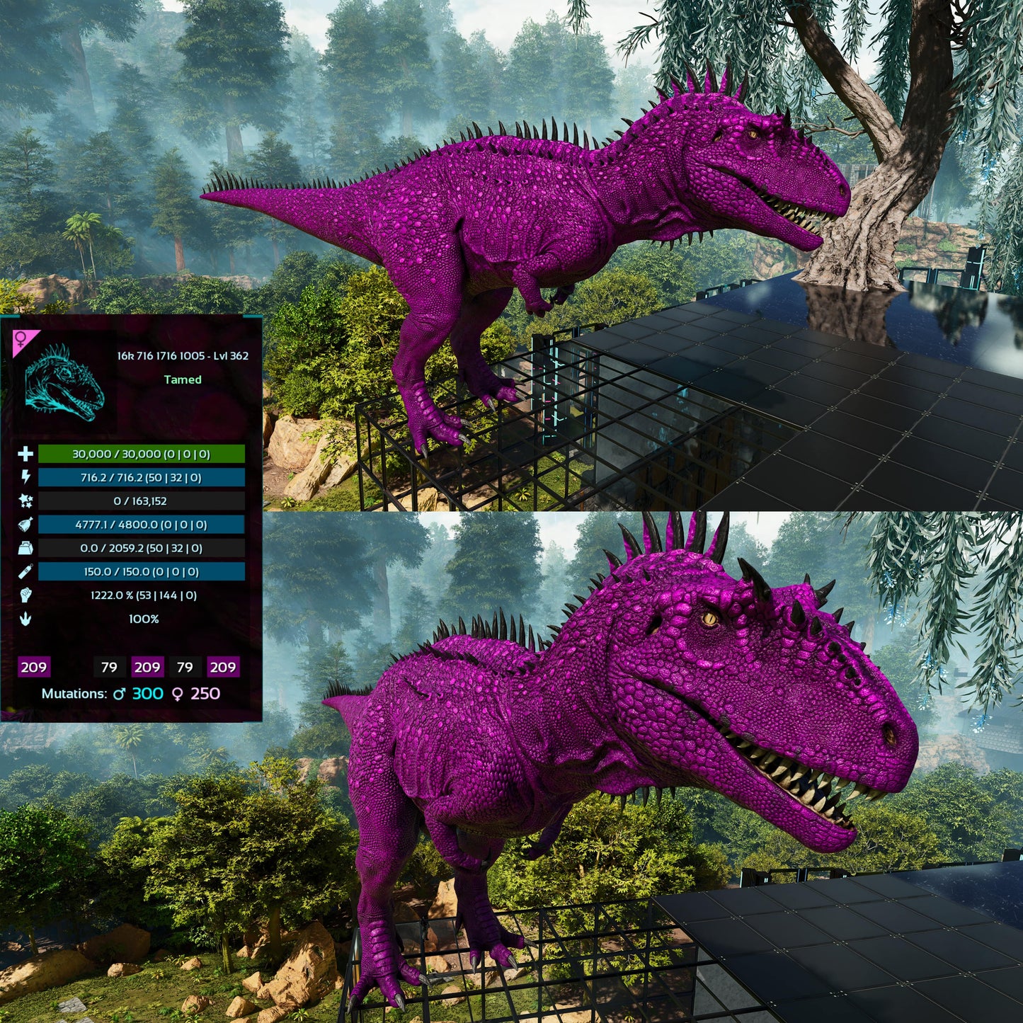 Carcharodontosaurus / Carcharo / Carcha 1222Dmg Imprinted