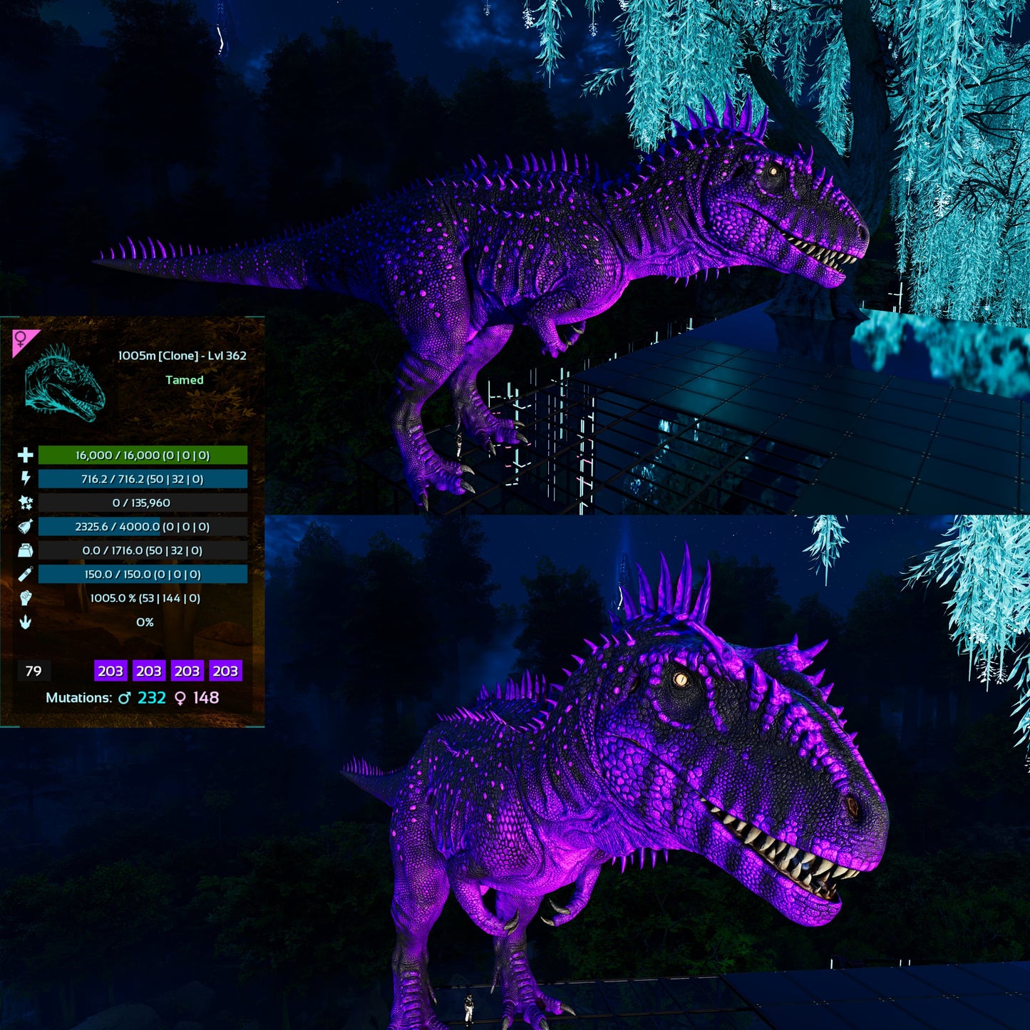 Carcharodontosaurus / Carcharo / Carcha 1222Dmg Imprinted