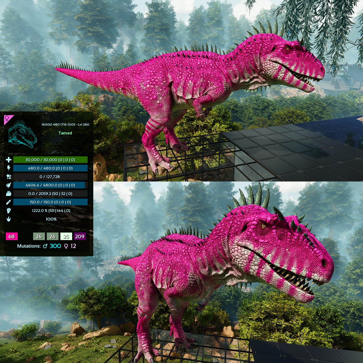 Carcharodontosaurus / Carcharo / Carcha 1222Dmg Imprinted