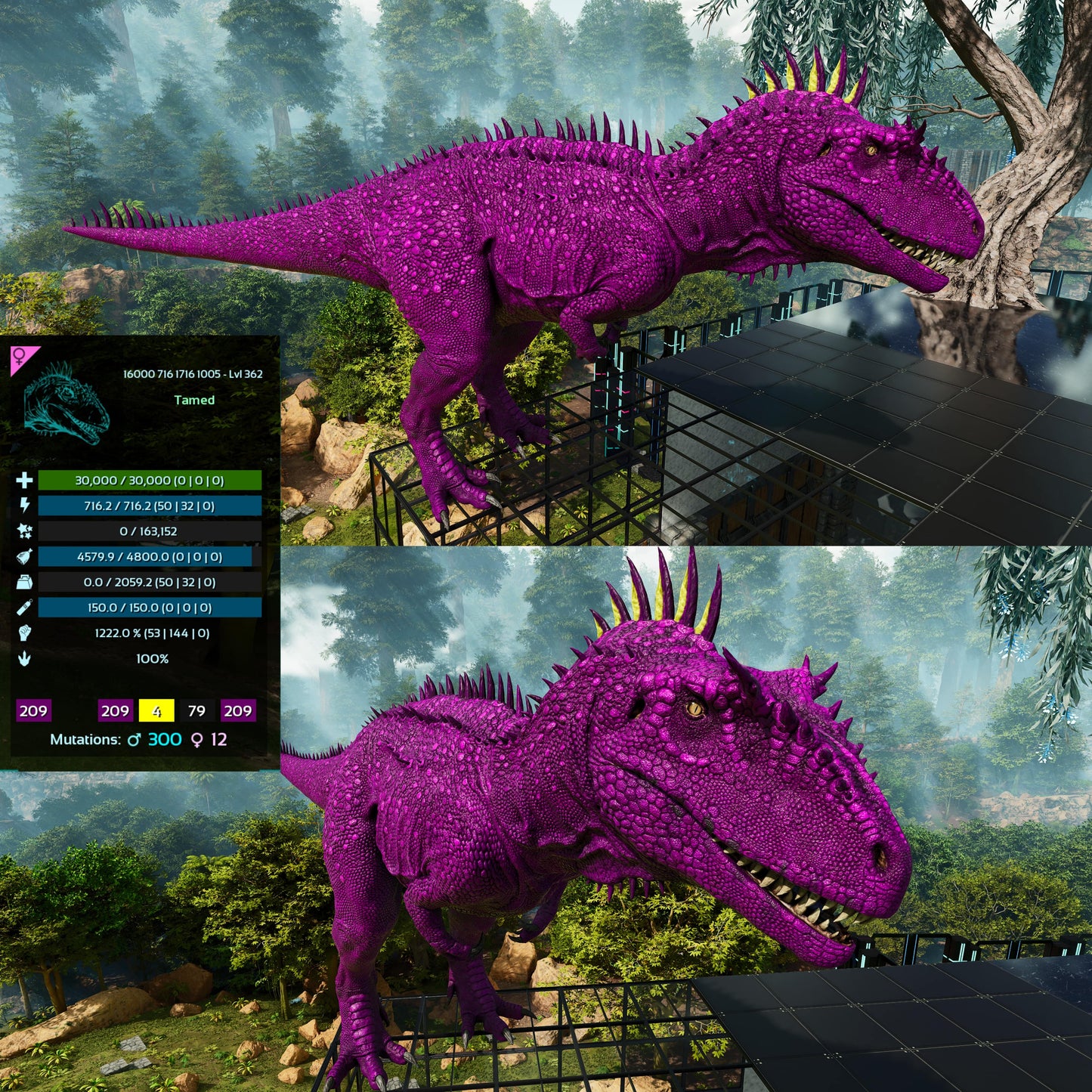 Carcharodontosaurus / Carcharo / Carcha 1222Dmg Imprinted