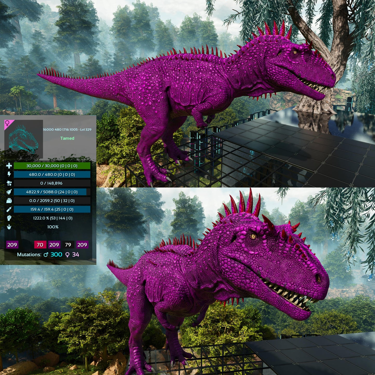 Carcharodontosaurus / Carcharo / Carcha 1222Dmg Imprinted
