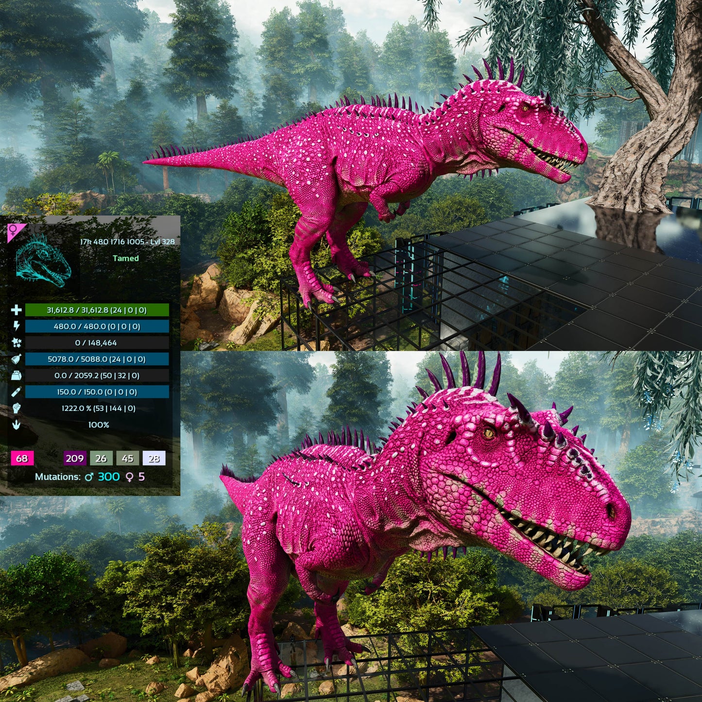 Carcharodontosaurus / Carcharo / Carcha 1222Dmg Imprinted