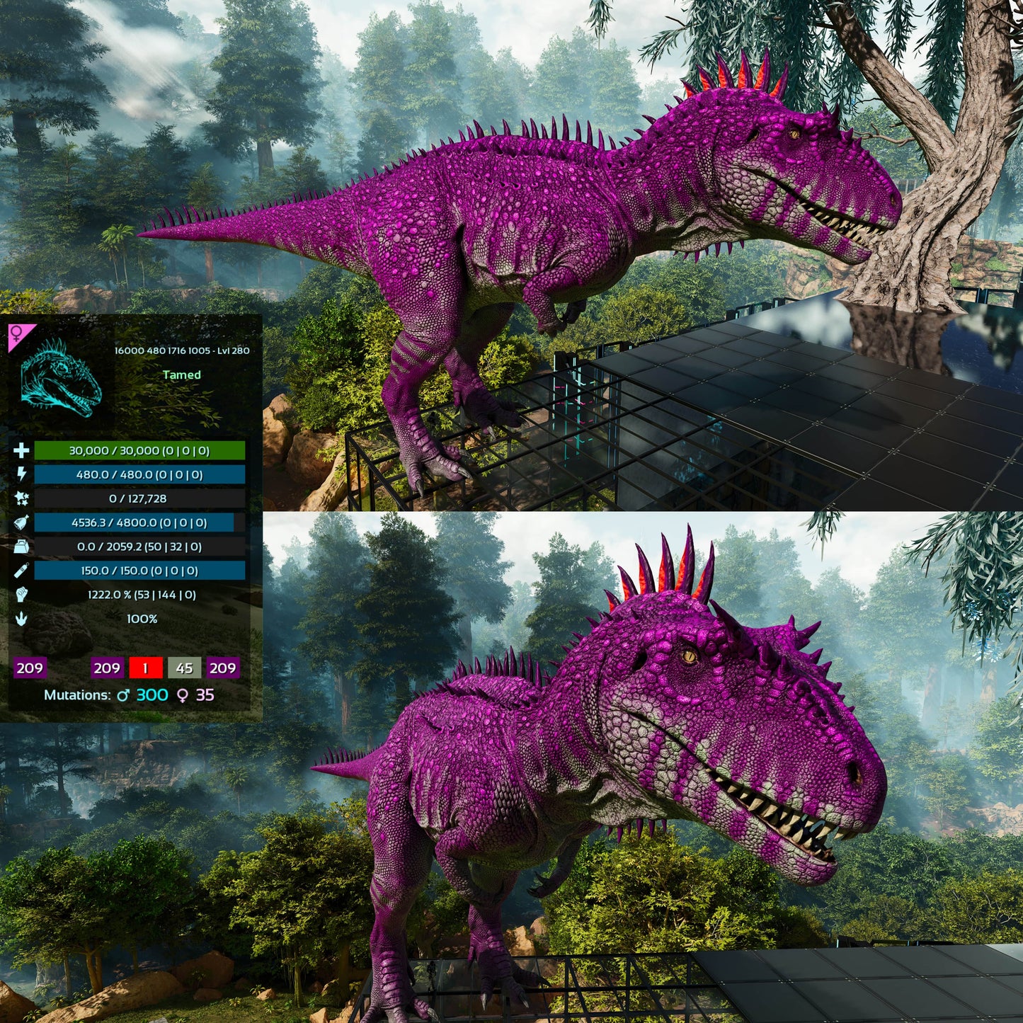 Carcharodontosaurus / Carcharo / Carcha 1222Dmg Imprinted