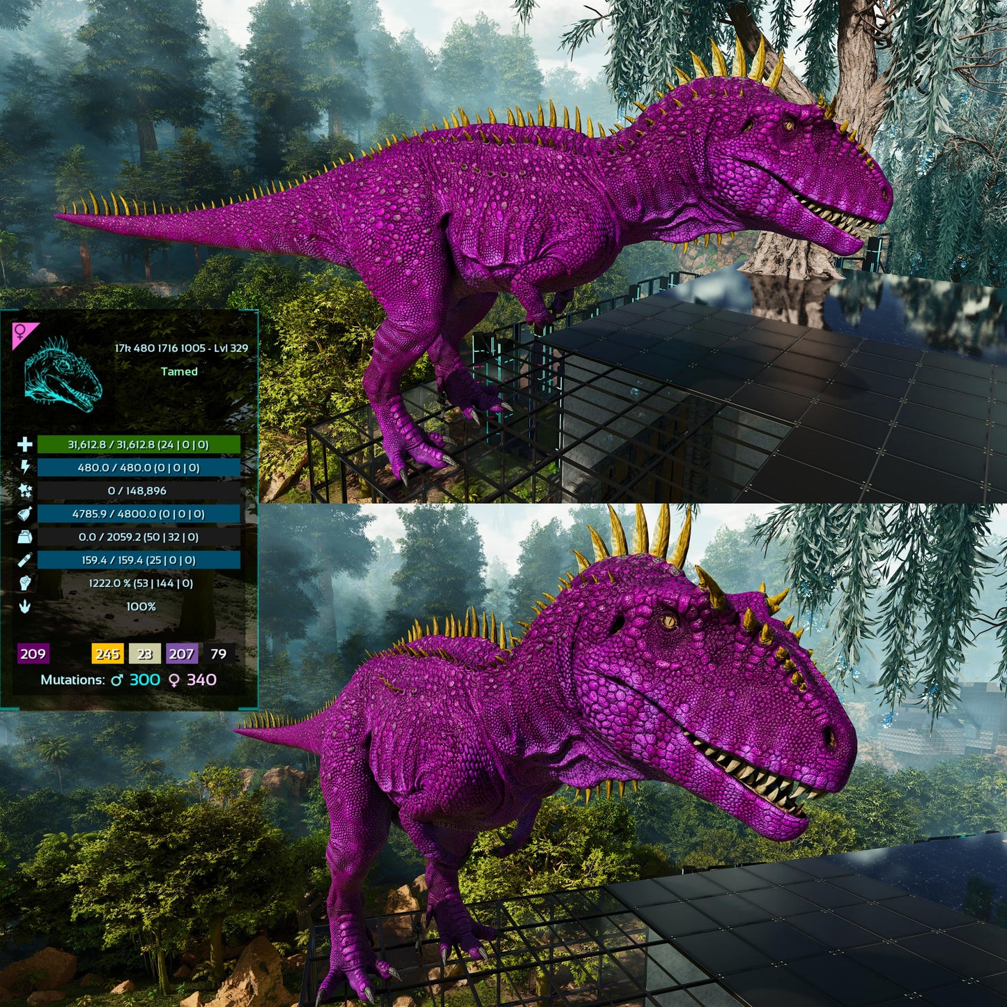 Carcharodontosaurus / Carcharo / Carcha 1222Dmg Imprinted
