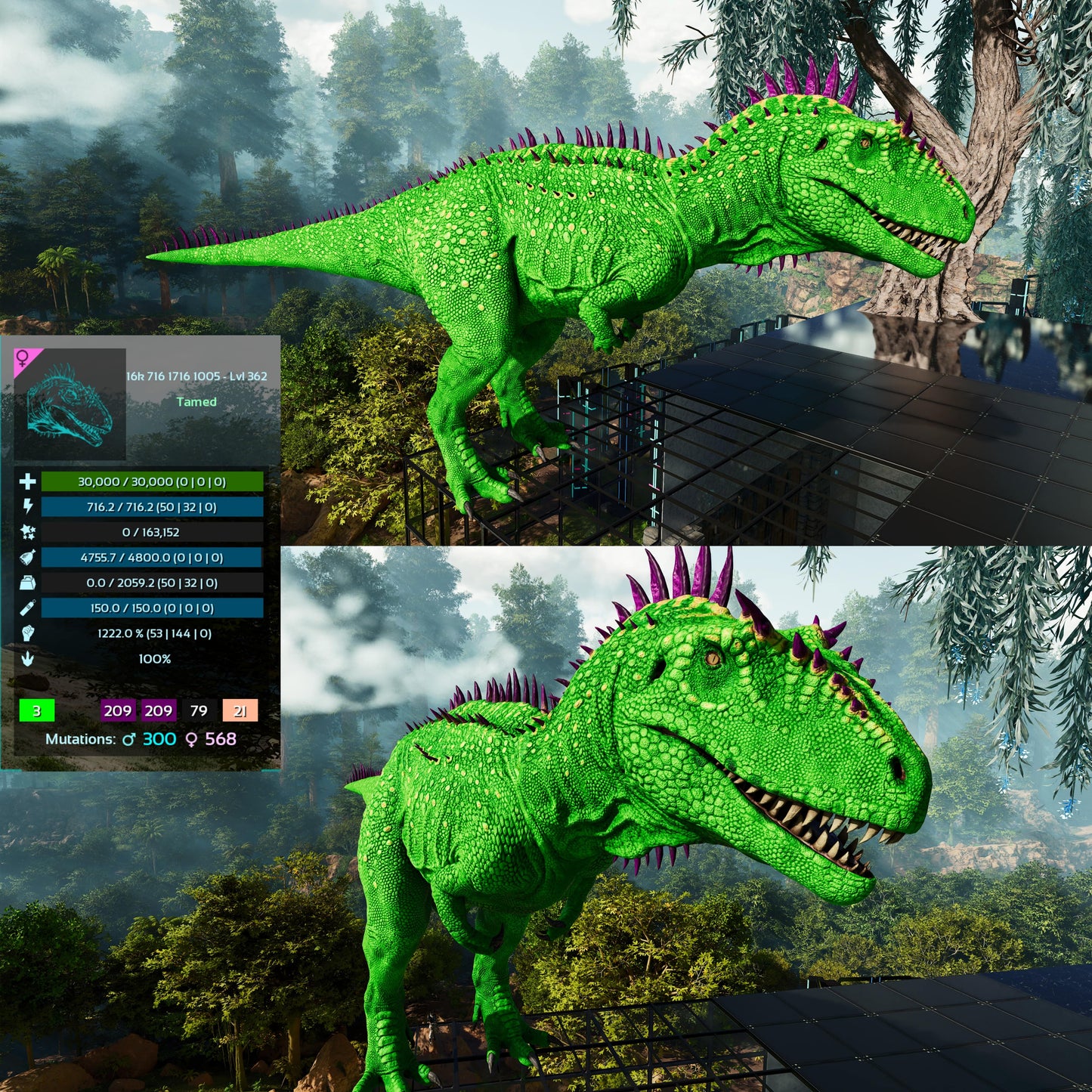 Carcharodontosaurus / Carcharo / Carcha 1222Dmg Imprinted
