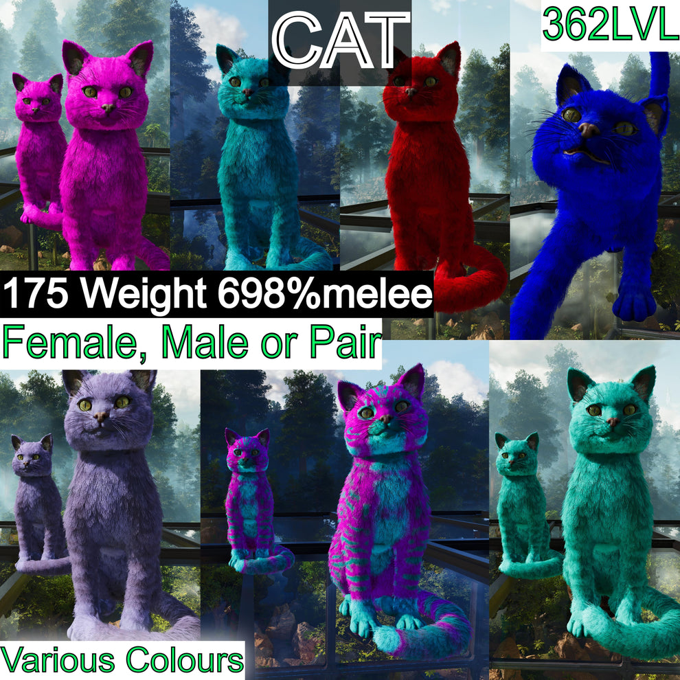 Cat / Cats 698%melee Various Colours – My Ark Ascended