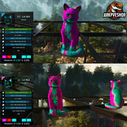 Cat / Cats Event Colours Top Stats 362Lvl