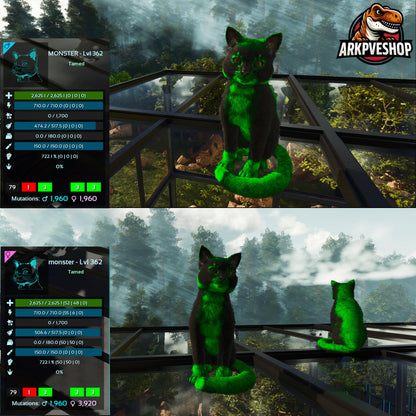 Cat / Cats Event Colours Top Stats 362Lvl