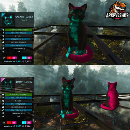 Cat / Cats Event Colours Top Stats 362Lvl