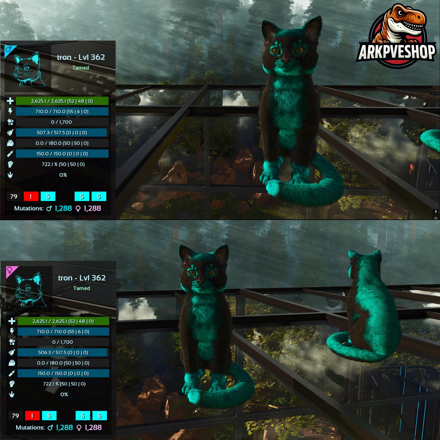 Cat / Cats Event Colours Top Stats 362Lvl