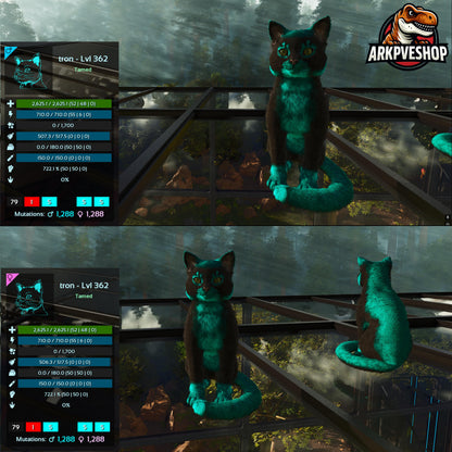 Cat / Cats Event Colours Top Stats 362Lvl