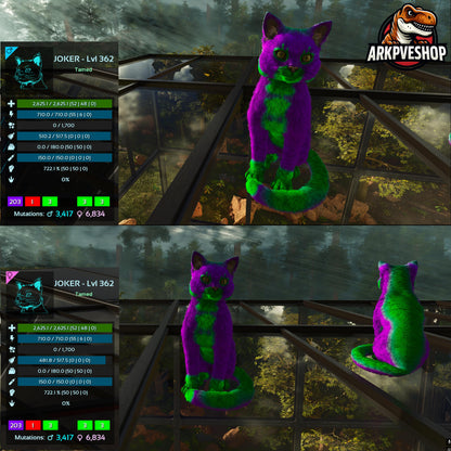 Cat / Cats Event Colours Top Stats 362Lvl