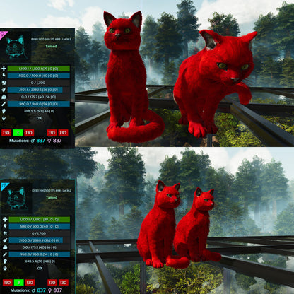 Cat / Cats Max 362 LVL Various Colours