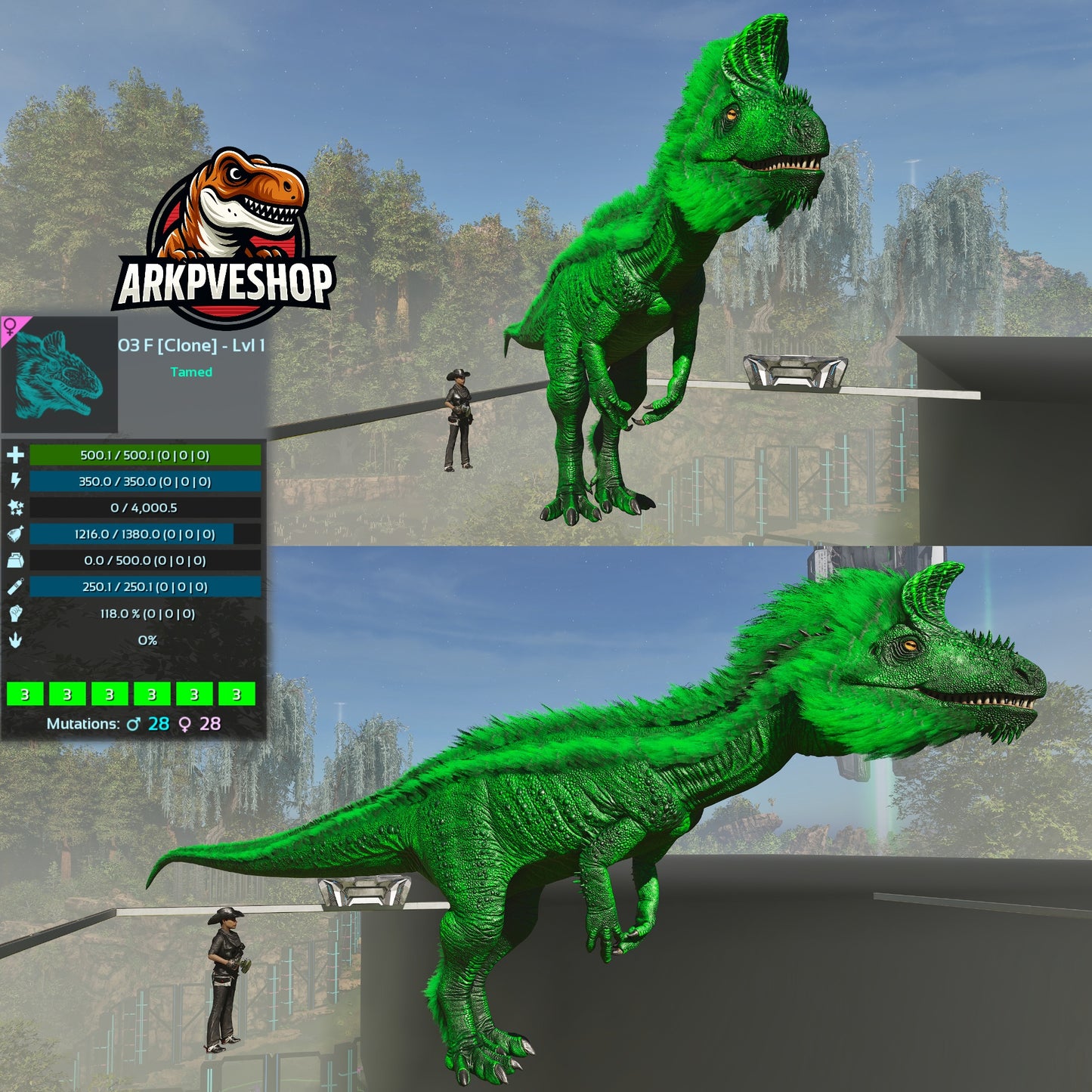 Cryolophosaurus Lvl 1 Clone