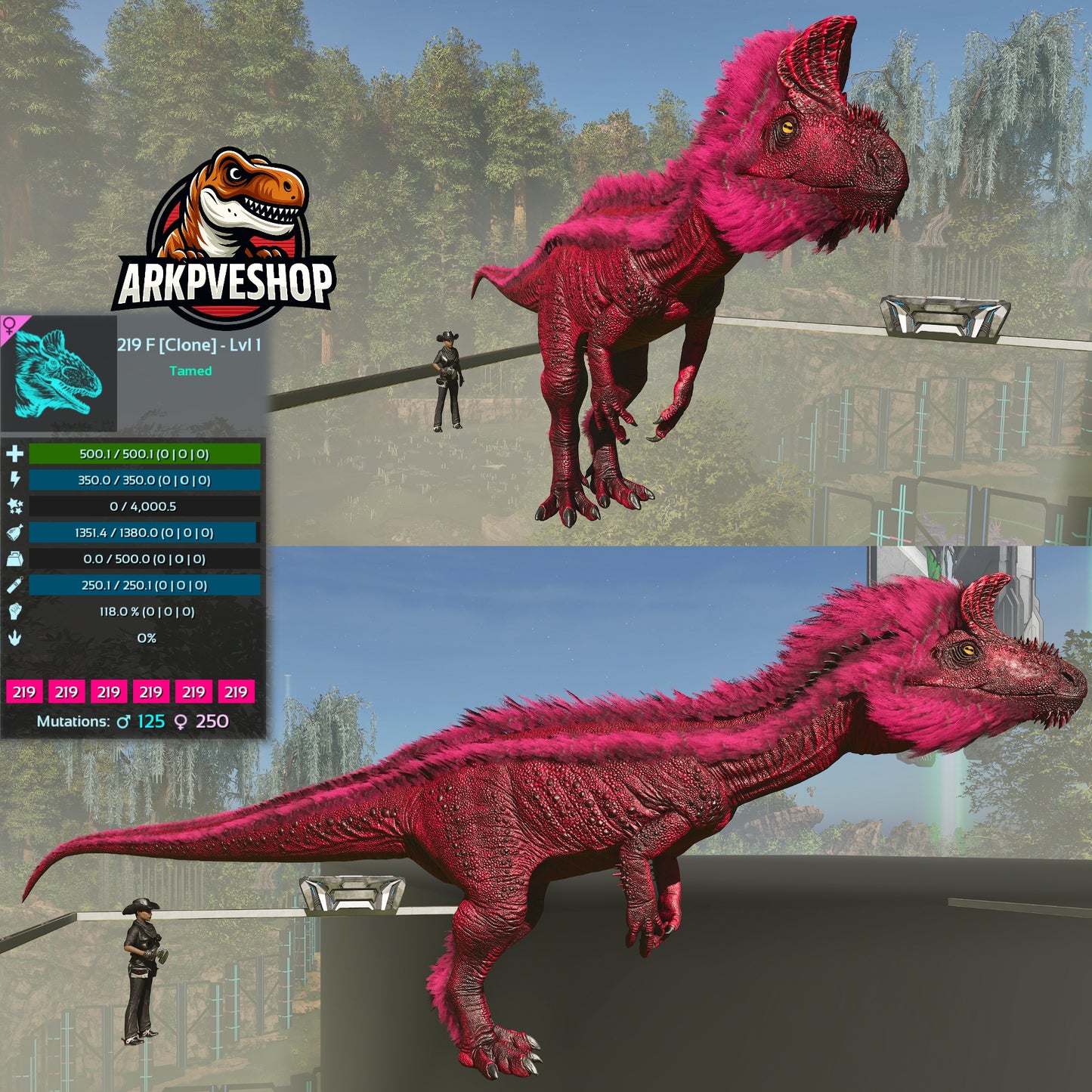 Cryolophosaurus Lvl 1 Clone